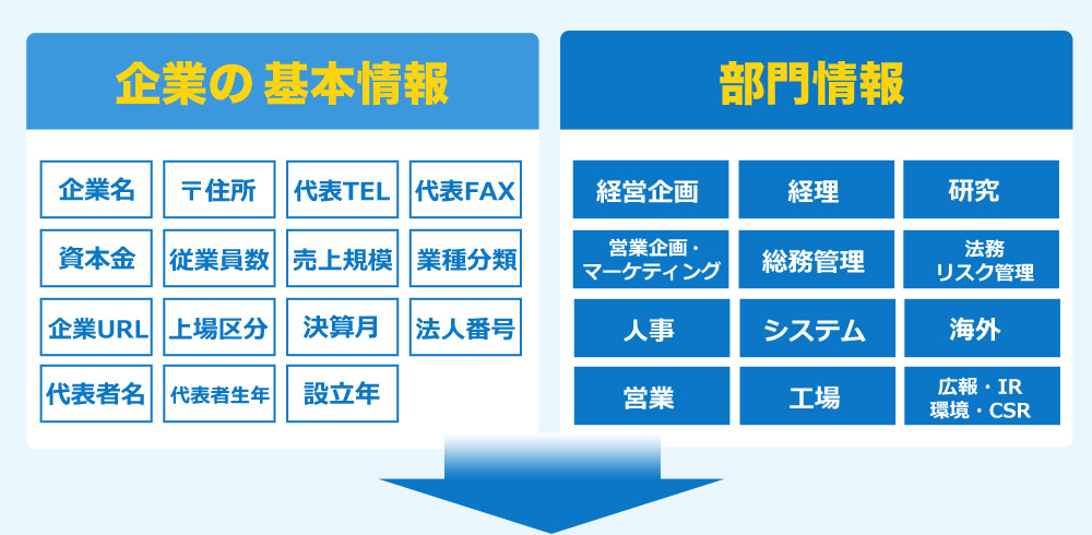 企業の基本情報と部門情報